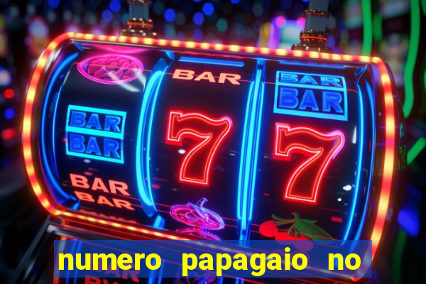 numero papagaio no jogo do bicho