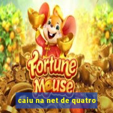 caiu na net de quatro