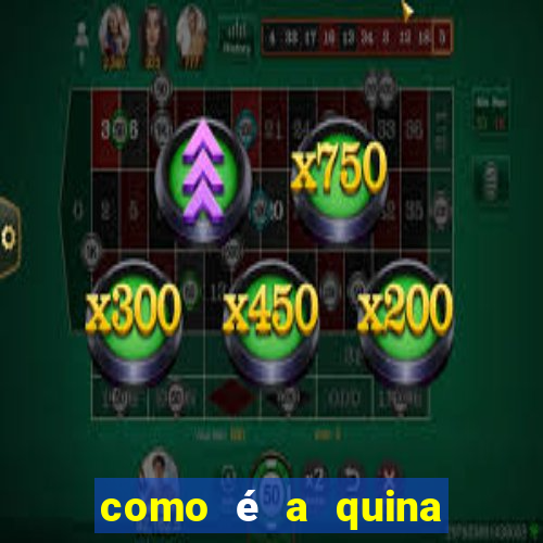 como é a quina do bingo