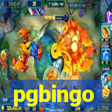 pgbingo