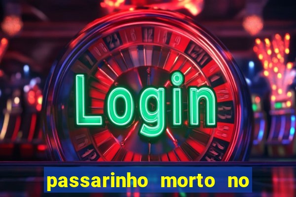 passarinho morto no quintal significado espiritual