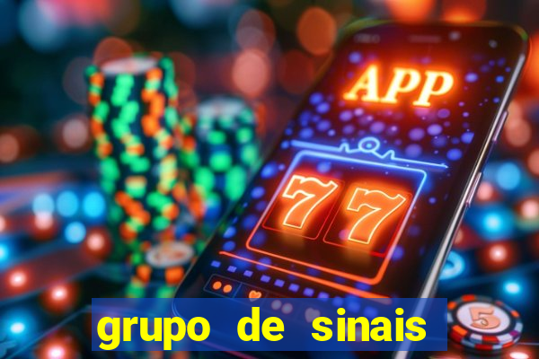 grupo de sinais trader telegram