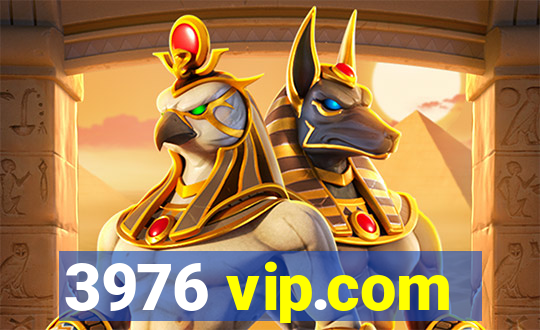 3976 vip.com