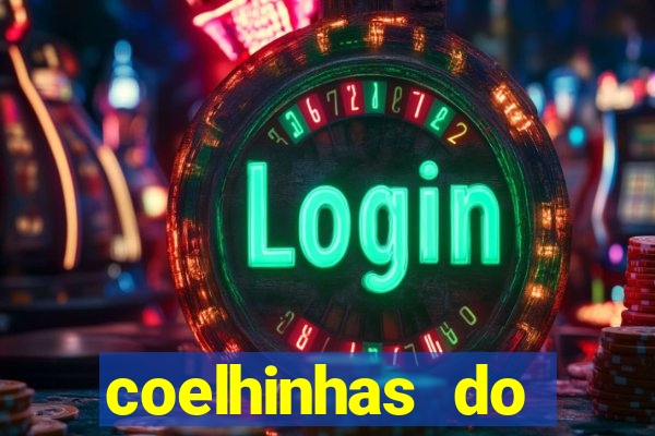 coelhinhas do brasil recife