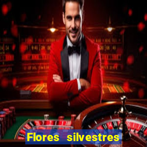 Flores silvestres brasileiras 25